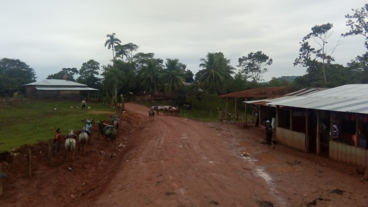 siuna